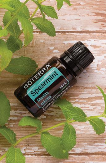 dōTERRA Spearmint Essential Oil - 15ml - Image 2