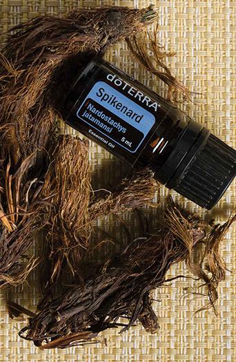 dōTERRA Spikenard Essential Oil - 5ml - Image 2